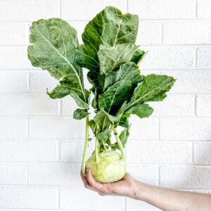 Kohlrabi