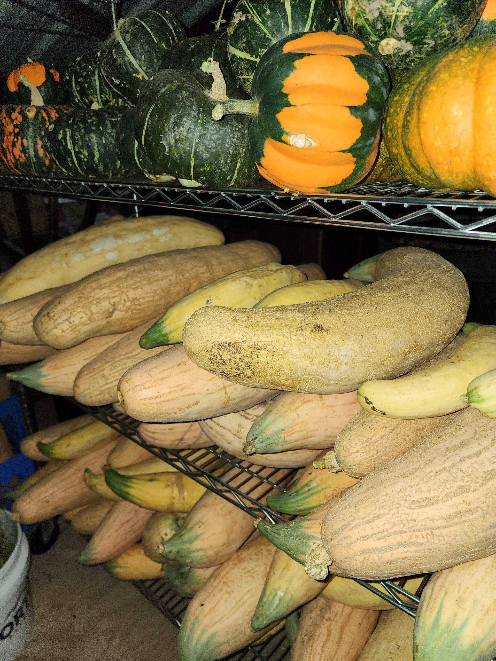 shop-farm